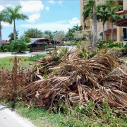 Landscaping Waste