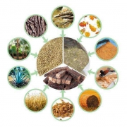 biomass energy