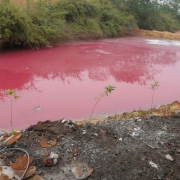 heavy metal contaminated soil